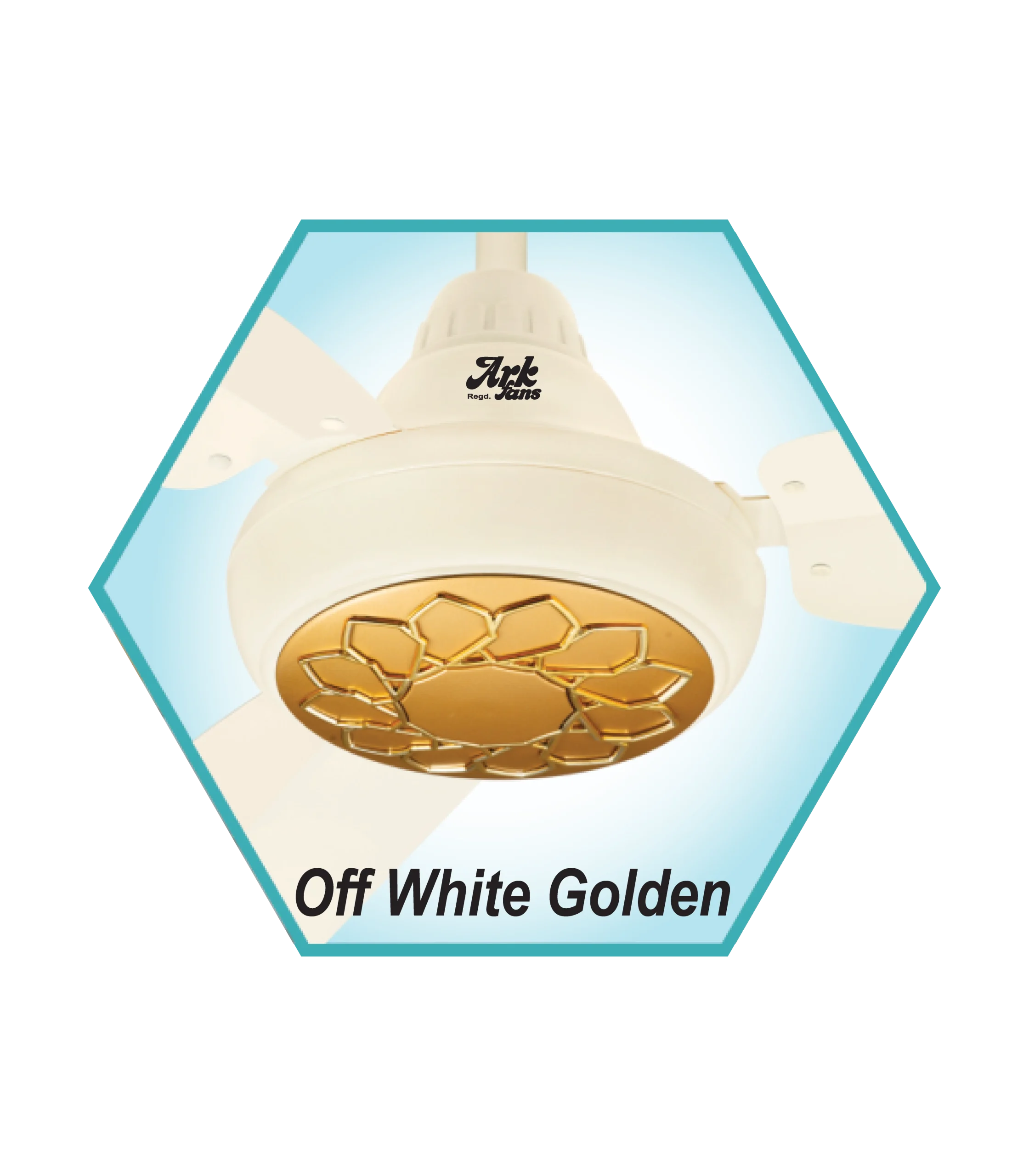 Off White Golden (AC-106)